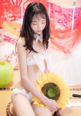综艺大集合_HD动漫在线观看